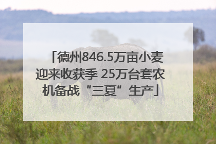 德州846.5万亩小麦迎来收获季 25万台套农机备战“三夏”生产