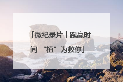 微纪录片丨跑赢时间 “植”为救你