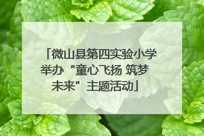 微山县第四实验小学举办“童心飞扬 筑梦未来”主题活动
