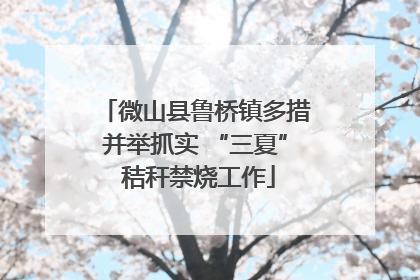 微山县鲁桥镇多措并举抓实 “三夏” 秸秆禁烧工作