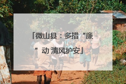 微山县：多措“廉”动 清风护安