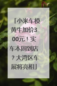 小米车模黄牛加价300元！实车本周到店？大湾区车展将亮相
