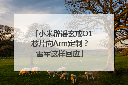 小米辟谣玄戒O1芯片向Arm定制？雷军这样回应