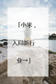 小米，入局新行业→