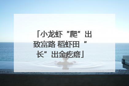 小龙虾“爬”出致富路 稻虾田“长”出金疙瘩