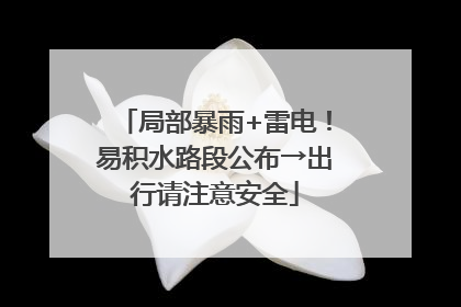 局部暴雨+雷电！易积水路段公布→出行请注意安全