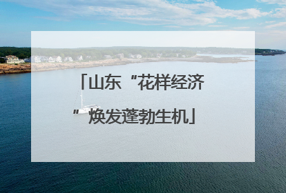 山东“花样经济”焕发蓬勃生机