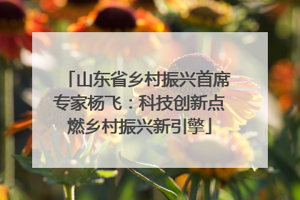 山东省乡村振兴首席专家杨飞：科技创新点燃乡村振兴新引擎