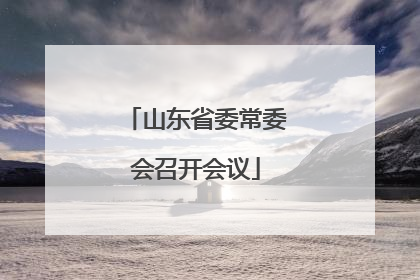 山东省委常委会召开会议