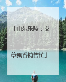 山东乐陵：艾草飘香销售忙