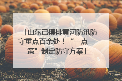 山东已摸排黄河防汛防守重点百余处！“一点一策”制定防守方案
