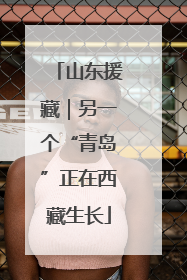 山东援藏｜另一个“青岛”正在西藏生长