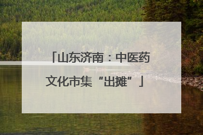 山东济南：中医药文化市集“出摊”