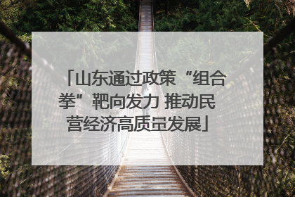 山东通过政策“组合拳”靶向发力 推动民营经济高质量发展