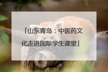 山东青岛：中医药文化走进国际学生课堂