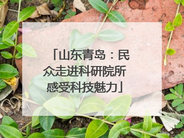 山东青岛：民众走进科研院所感受科技魅力