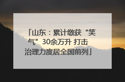 山东：累计缴获“笑气”30余万升 打击治理力度居全国前列