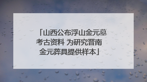 山西公布浮山金元墓考古资料 为研究晋南金元葬具提供样本
