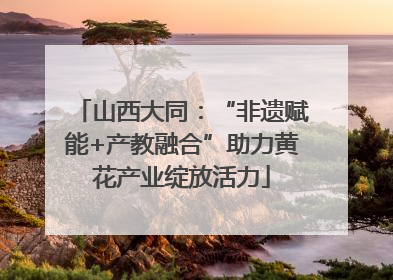 山西大同：“非遗赋能+产教融合”助力黄花产业绽放活力