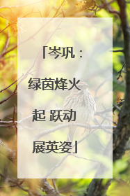 岑巩：绿茵烽火起 跃动展英姿