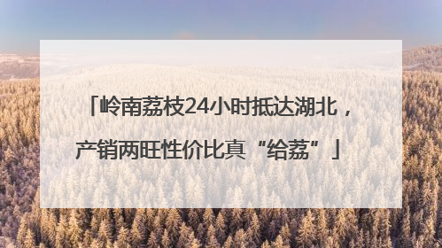 岭南荔枝24小时抵达湖北，产销两旺性价比真“给荔”