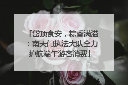 岱顶食安，粽香满溢：南天门执法大队全力护航端午游客消费