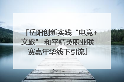 岳阳创新实践“电竞+文旅” 和平精英职业联赛嘉年华线下引流