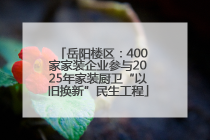 岳阳楼区：400家家装企业参与2025年家装厨卫“以旧换新”民生工程