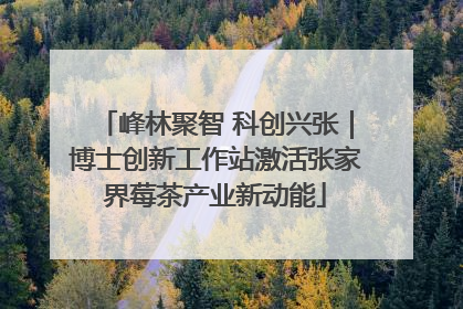 峰林聚智 科创兴张｜博士创新工作站激活张家界莓茶产业新动能