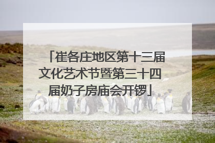 崔各庄地区第十三届文化艺术节暨第三十四届奶子房庙会开锣