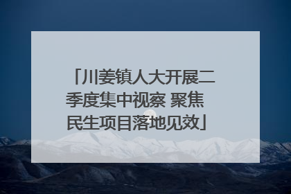 川姜镇人大开展二季度集中视察 聚焦民生项目落地见效