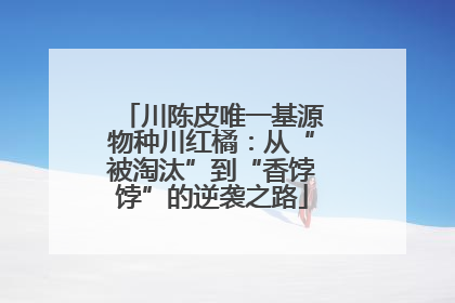 川陈皮唯一基源物种川红橘：从“被淘汰”到“香饽饽”的逆袭之路