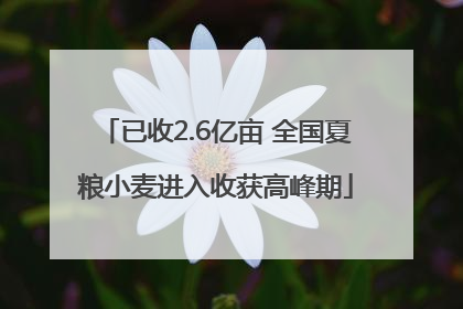已收2.6亿亩 全国夏粮小麦进入收获高峰期
