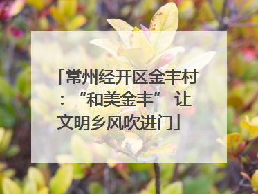 常州经开区金丰村：“和美金丰” 让文明乡风吹进门