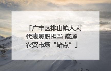 广丰区排山镇人大代表履职担当 疏通农贸市场“堵点”