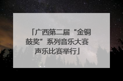 广西第二届“金铜鼓奖”系列音乐大赛声乐比赛举行