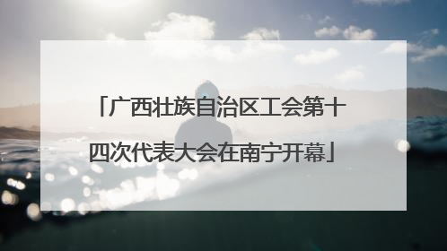 广西壮族自治区工会第十四次代表大会在南宁开幕