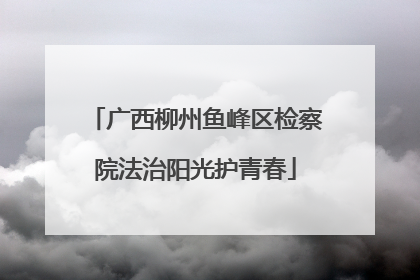 广西柳州鱼峰区检察院法治阳光护青春
