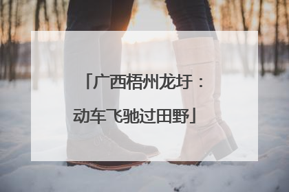 广西梧州龙圩：动车飞驰过田野