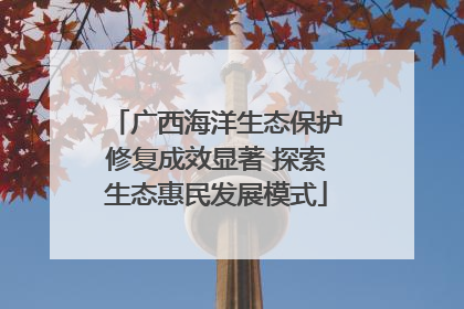 广西海洋生态保护修复成效显著 探索生态惠民发展模式