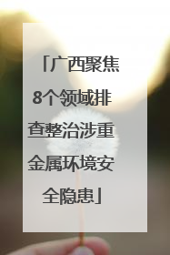 广西聚焦8个领域排查整治涉重金属环境安全隐患