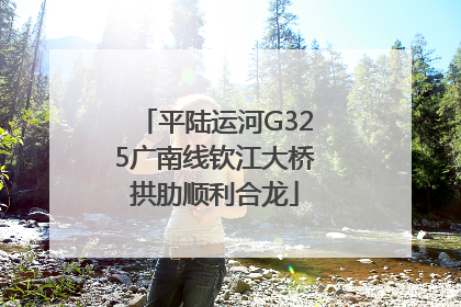平陆运河G325广南线钦江大桥拱肋顺利合龙