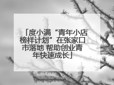 度小满“青年小店榜样计划”在张家口市落地 帮助创业青年快速成长
