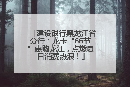 建设银行黑龙江省分行：龙卡“66节”惠购龙江，点燃夏日消费热浪！