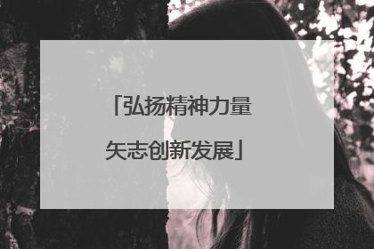 弘扬精神力量 矢志创新发展