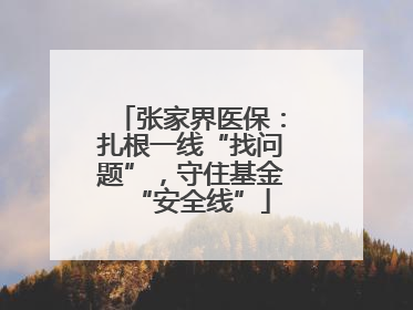 张家界医保：扎根一线“找问题”，守住基金“安全线”