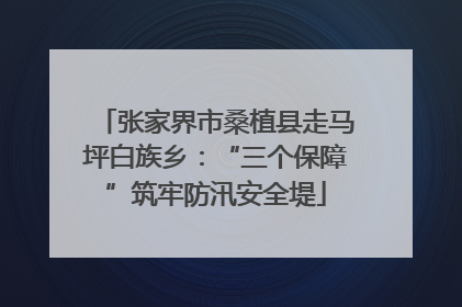 张家界市桑植县走马坪白族乡：“三个保障”筑牢防汛安全堤