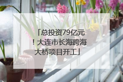 总投资79亿元！大连市长海跨海大桥项目开工