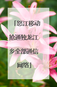 怒江移动抢通独龙江乡全部通信网络