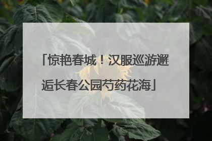 惊艳春城！汉服巡游邂逅长春公园芍药花海
